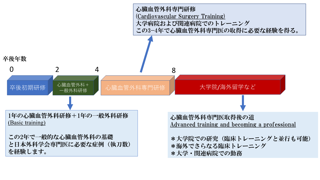 当科での教育プログラム